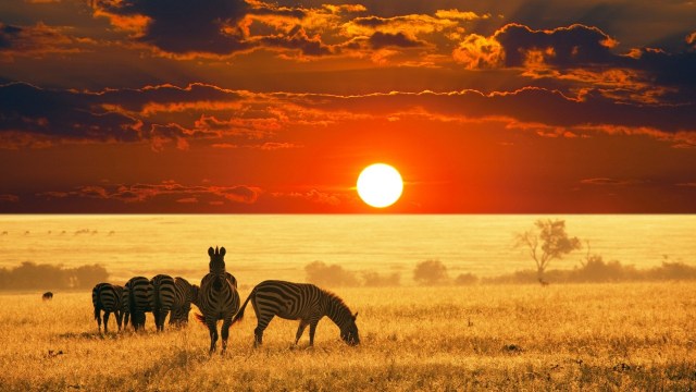 african-skyline